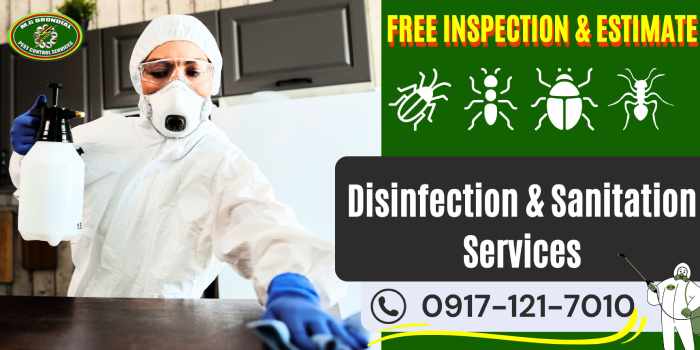 Disinfection Services