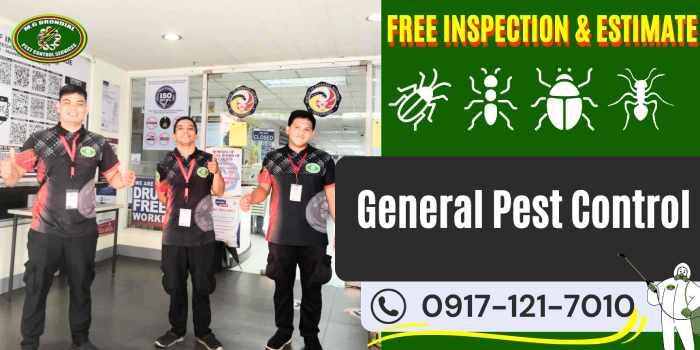 General Pest Control Services