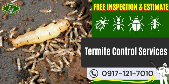 Termite Control Services