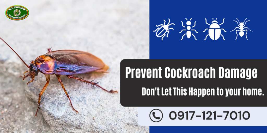 Cockroach control