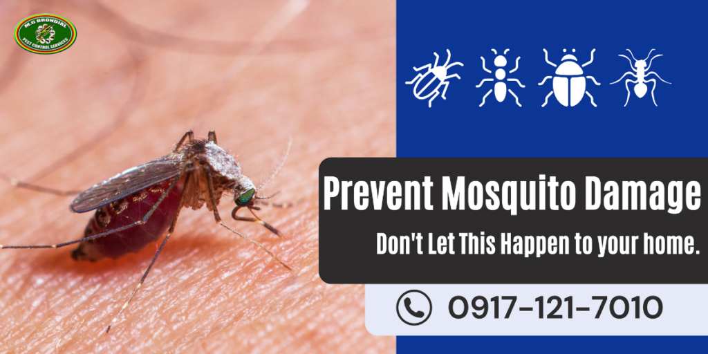 Mosquito Control mgbrondial