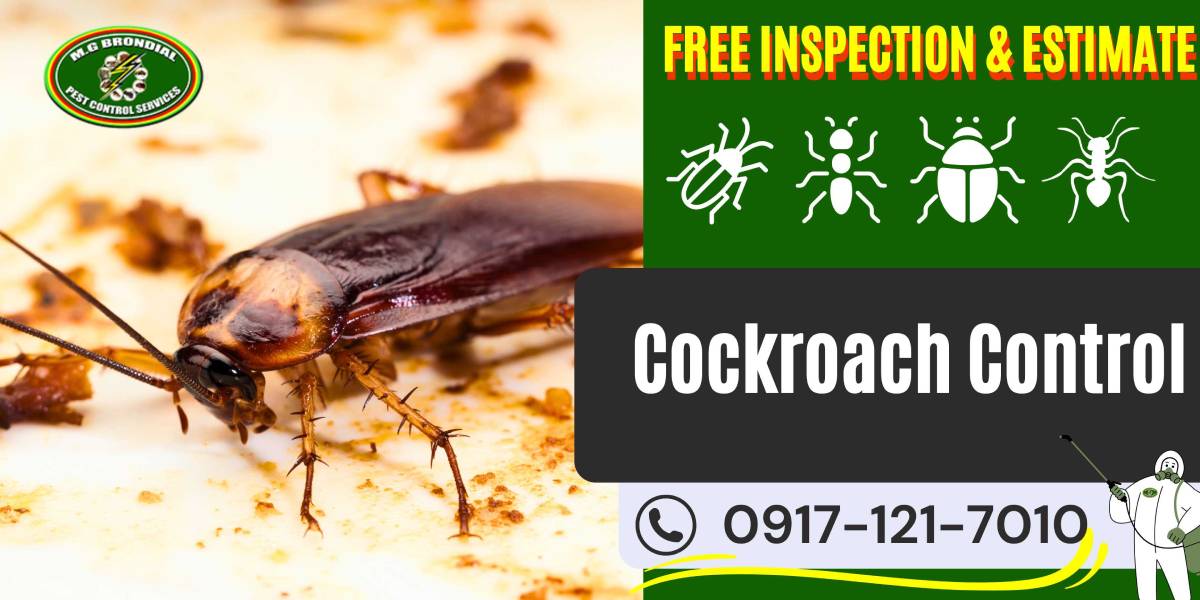 Cockroach Control