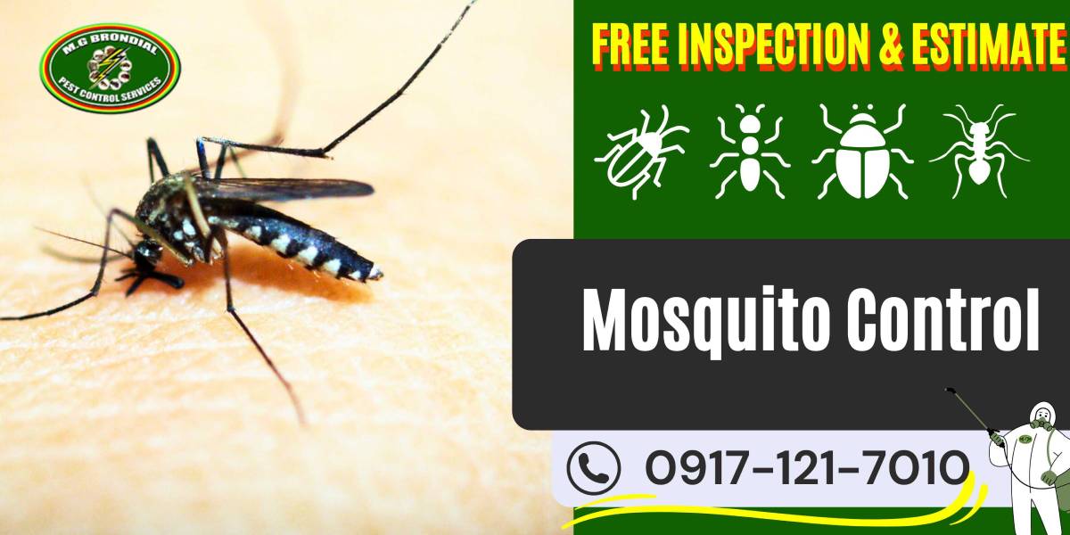 Mosquito Control