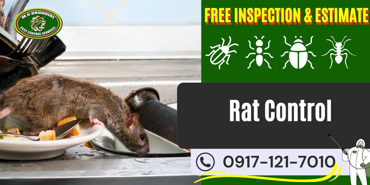 Rats Control