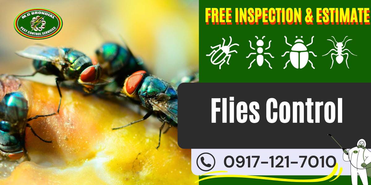 Flies Control